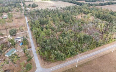3064 145th Rd, Live Oak, FL 32060 - photo 7