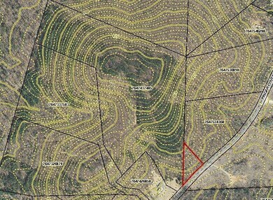 0 Pisgah Covered Bridge Rd unit 840711, Asheboro, NC 27205 - photo 3