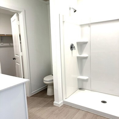 Primary Bathroom and Closet