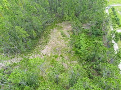 00 Willacoochee Hwy, Willacoochee, GA 31750 - photo 5