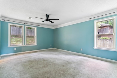 Carpeted spare room featuring ceiling fan and a te