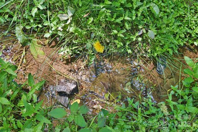 99999 Upward Way unit 36, Waynesville, NC 28785 - photo 6