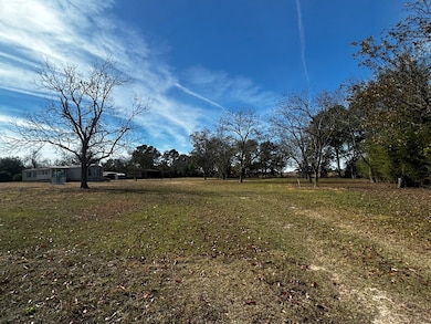 6870 Georgia 39, Donalsonville, GA 39845 - photo 3