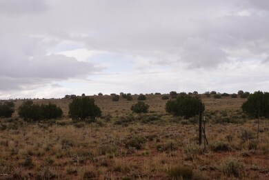 DSC06117