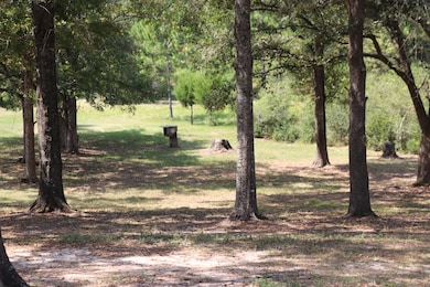 261 Wilkerson Rd, Defuniak Springs, FL 32433 - photo 3