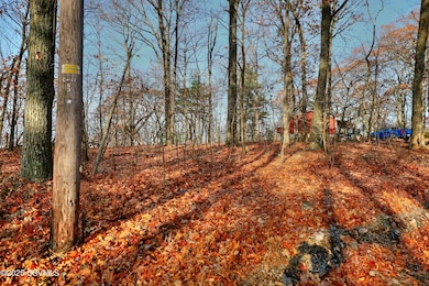 449 Evergreen Ln, Catawissa, PA 17820 - photo 5