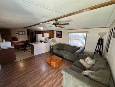 4 Topaz Ln, Eustis, FL 32726 - photo 3