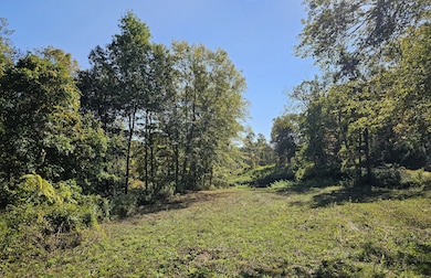 0 Booth Rd, Roxbury, CT 06783 - photo 2