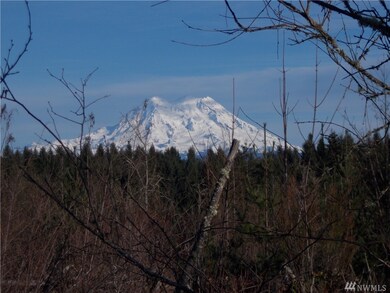 0 173rd Ave SE unit 1258415, Yelm, WA 98597 - photo 3