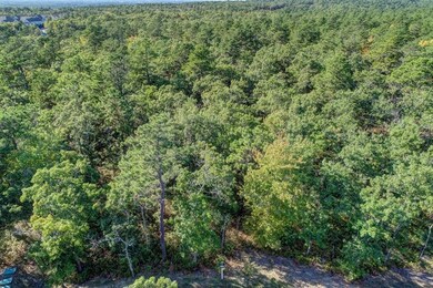 16 Dawn's Light, Plymouth, MA 02360 - photo 7