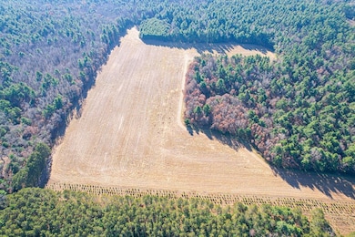 1504 Atom Rd, Lincoln, WI 54666 - photo 4