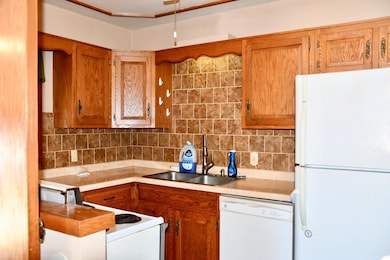 216 6th St W, Thief River Falls, MN 56701 - photo 7