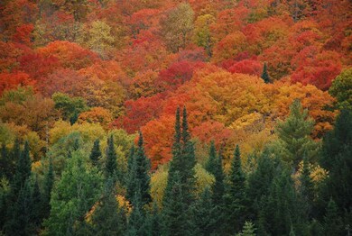 978 Keyser Hill Rd, Saint Johnsbury, VT 05819 - photo 3