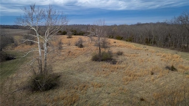 33784 W 168th St, Elmira, MO 64062 - photo 7