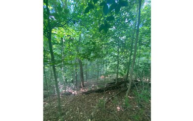 Additional View