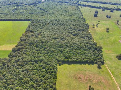 Tbd, Fouke, AR 71837 - photo 6