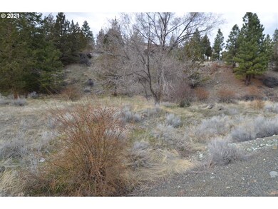 01 Adams Dr, Canyon City, OR 97820 - photo 5