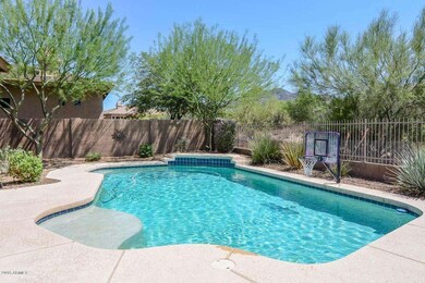 Pool Views