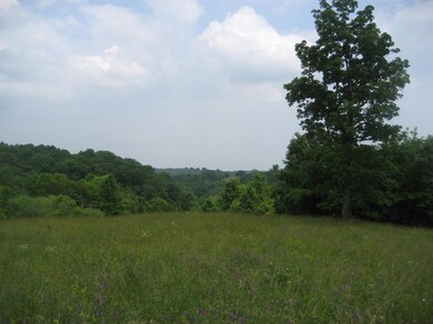 2336 Glensboro Rd, Lawrenceburg, KY 40342 - photo 2