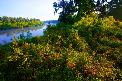 00 Laprada Trace 7, Fulshear, TX 77441 - photo 5