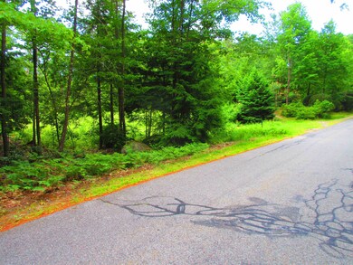 0 Ruonala Rd unit 4917933, Milford, NH 03055 - photo 3