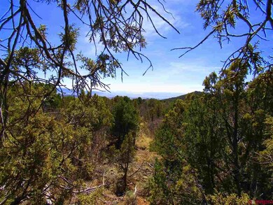 0 Uintah Rd unit 700701, Cedaredge, CO 81413 - photo 7
