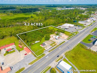 000 S US Hwy 1, Alma, GA 31510 - photo 3