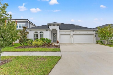 5418 Wayfarer Ave, Apollo Beach, FL 33572 - photo 4