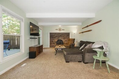 Lower Level family room, walks out to backyard! Fi