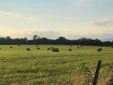 Haybales