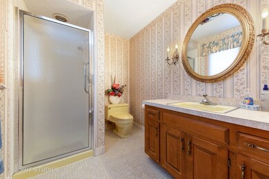 104 W Adams St, Elmhurst, IL 60126 - photo 5