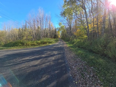 0WP Talbot Rd unit 1, West Winfield, NY 13491 - photo 2