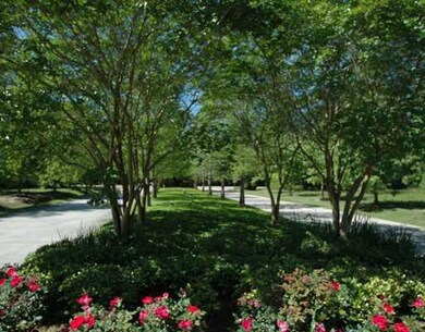 Photo. Wide neutral ground planted with a double r