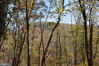 0 Bessie Bell Mountain Rd unit VARP107660, Castleton, VA 22716 - photo 6