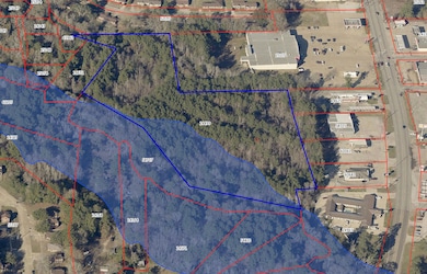 810 S Magnolia St, Woodville, TX 75979 - photo 7