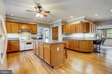 10543 Saint Paul St, Kensington, MD 20895 - photo 3