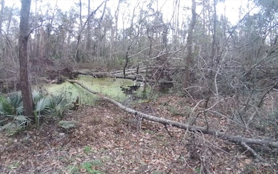 4092 Honeysuckle Cir, Middleburg, FL 32068 - photo 4