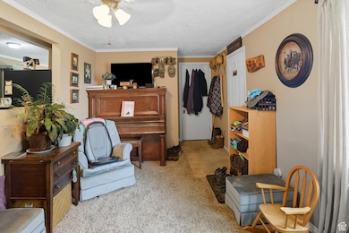 Living area featuring a textured ceiling, light carpet, crown molding, and ceiling fan