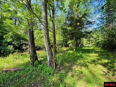 001-01112-000 Cr 127, Calico Rock, AR 72519 - photo 3