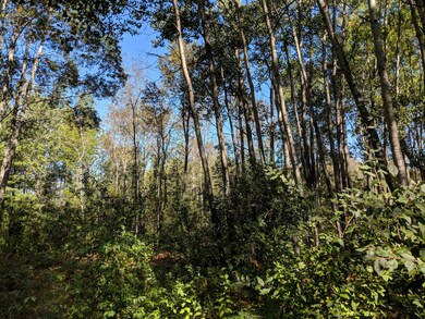 4868 Paula Dr unit 56.45, Hale, MI 48739 - photo 7