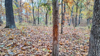 19832 County Road 64, Wheatland, MO 65779 - photo 5