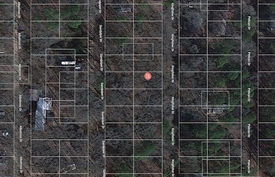 0 Kingfisher Dr, Winnsboro, TX 75494 - photo 3