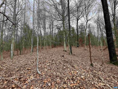 TBD Patrick Henry Hwy, Roseland, VA 22967 - photo 6