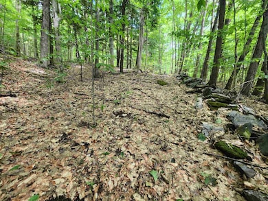 00 Eaton Ave, Springfield, VT 05156 - photo 7