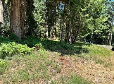 10224 Totem Way, Anderson Island, WA 98303 - photo 3