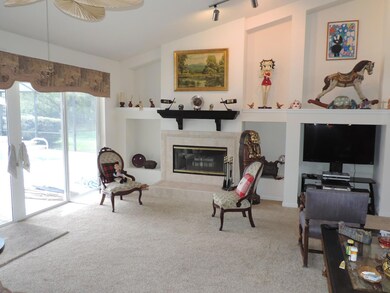 family room with pass thru fireplace - C