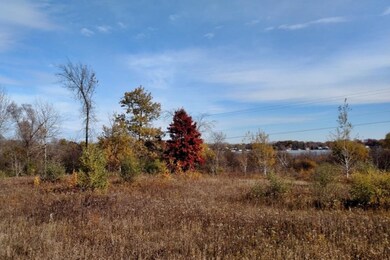 TBD N Hillman Rd, Stanton, MI 48888 - photo 3