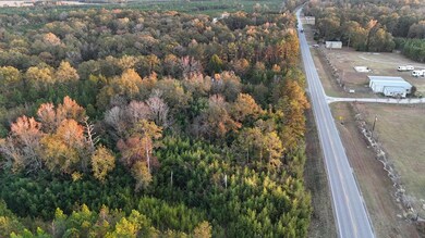 0 Alabama 95 unit 205947, Abbeville, AL 36310 - photo 5