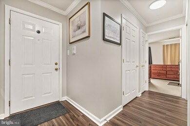 2505 Coach House Way unit 1A, Frederick, MD 21702 - photo 4