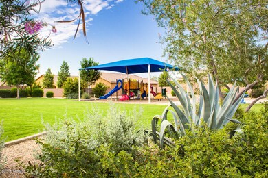 San Lucas Amenities (13 of 41)